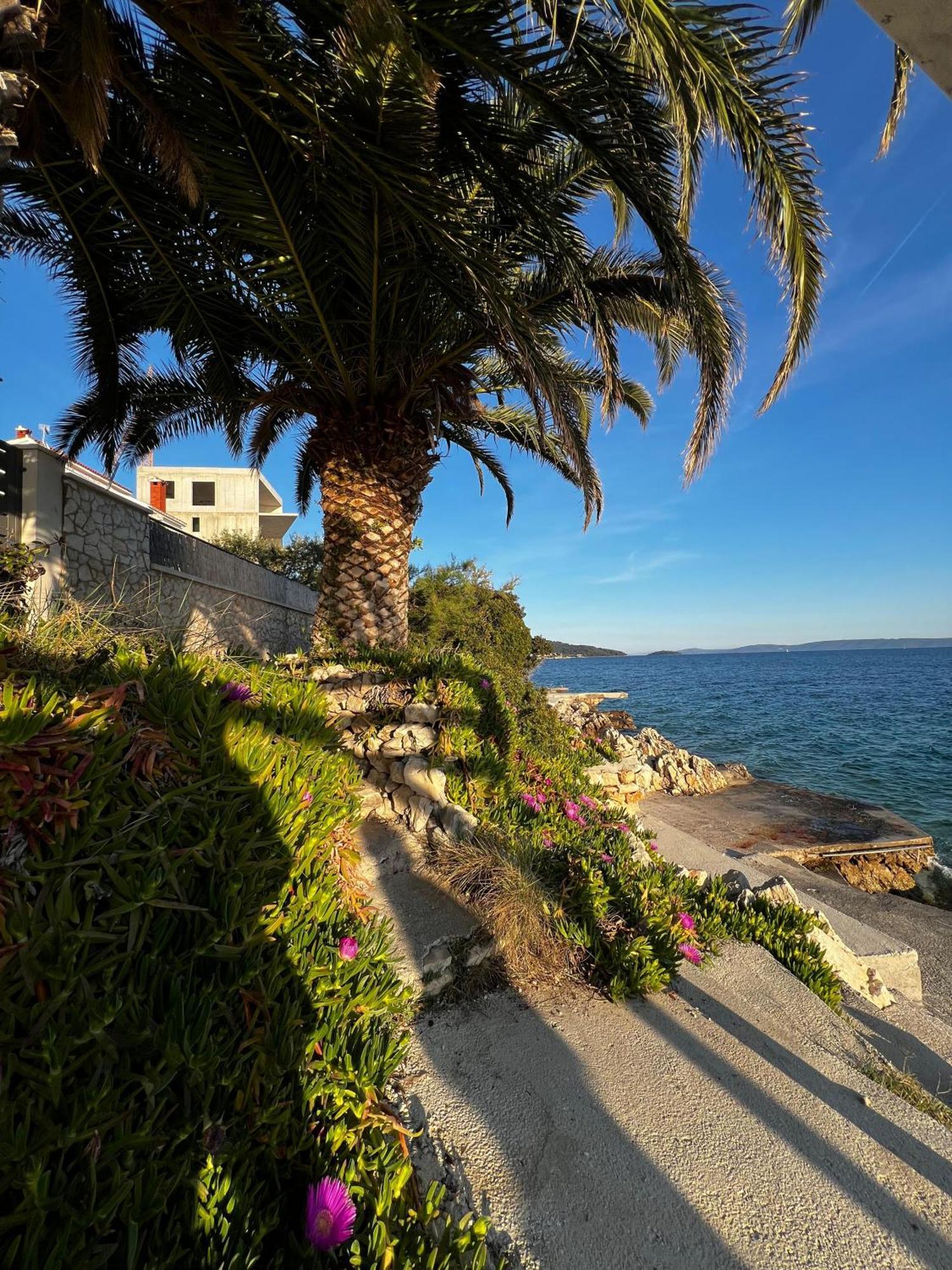 Villa Apartments Oliva Seget Vranjica Eksteriør bilde